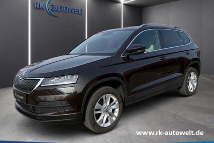 Skoda Karoq Gebrauchtwagen
