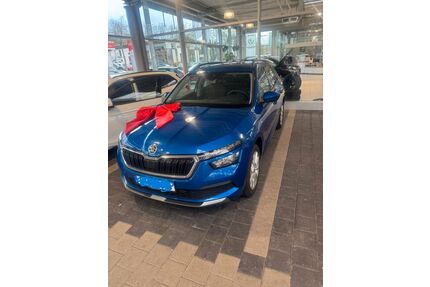 Skoda Kamiq Gebrauchtwagen