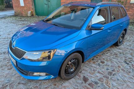 Skoda Fabia Gebrauchtwagen