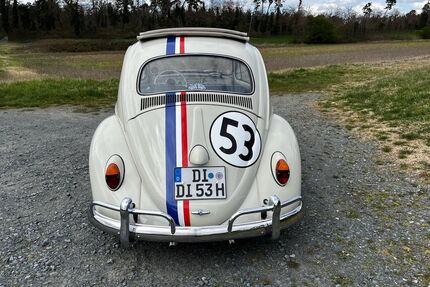 VW Käfer Gebrauchtwagen