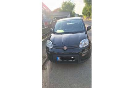 Fiat Panda Gebrauchtwagen