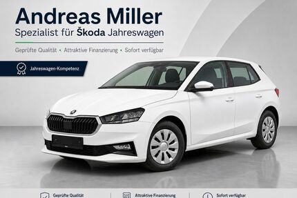 Skoda Fabia Gebrauchtwagen