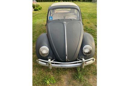 VW Beetle Gebrauchtwagen