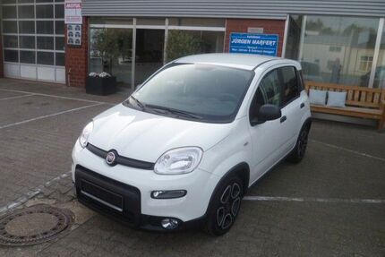 Fiat Panda Gebrauchtwagen