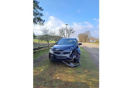 Kia Ceed Gebrauchtwagen