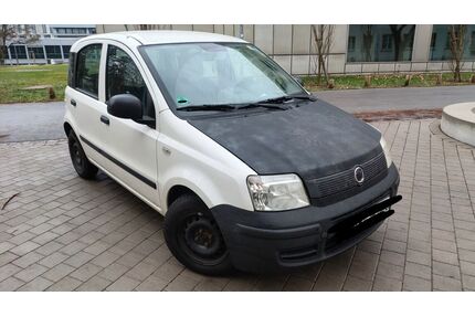 Fiat Panda Gebrauchtwagen