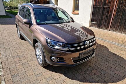 VW Tiguan Gebrauchtwagen