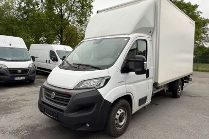 Fiat Ducato Gebrauchtwagen