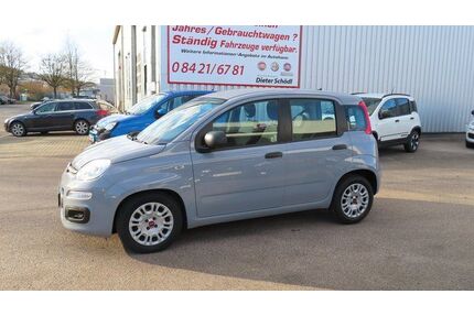 Fiat Panda Gebrauchtwagen