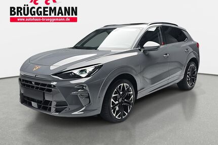 Cupra Terramar Gebrauchtwagen