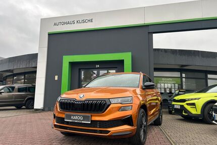 Skoda Karoq Gebrauchtwagen
