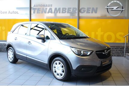 Opel Crossland (X) Gebrauchtwagen