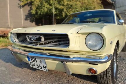 Ford Mustang Gebrauchtwagen