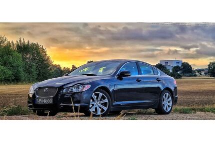 Jaguar XF Gebrauchtwagen