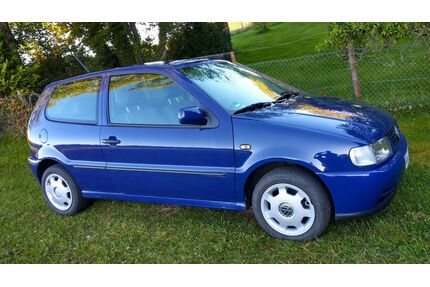 VW Polo Gebrauchtwagen