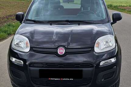 Fiat Panda Gebrauchtwagen