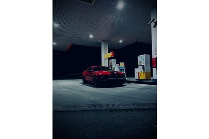 Ford Mustang Gebrauchtwagen