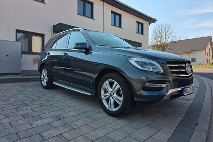Mercedes-Benz ML 350 Gebrauchtwagen