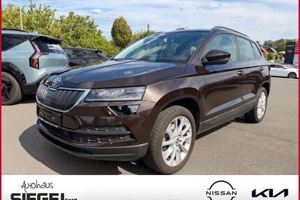 Skoda Karoq Gebrauchtwagen