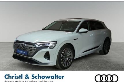 Audi Q8 e-tron Gebrauchtwagen