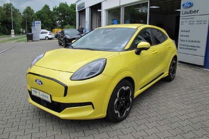 Ford Puma Gebrauchtwagen