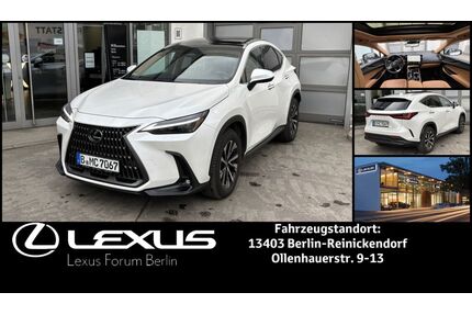 Lexus NX 350h Gebrauchtwagen