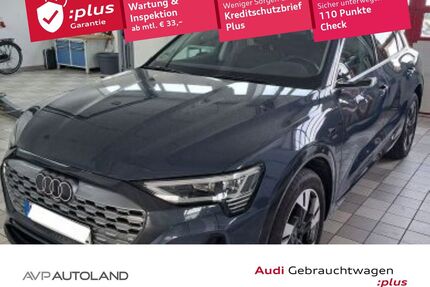 Audi Q8 e-tron Gebrauchtwagen