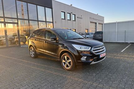 Ford Kuga Gebrauchtwagen