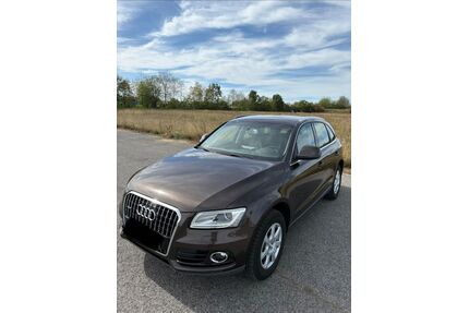 Audi Q5 Gebrauchtwagen