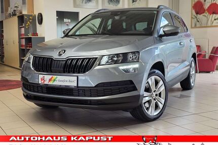 Skoda Karoq Gebrauchtwagen
