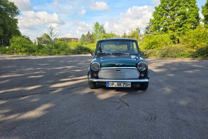 Austin Rover Andere Gebrauchtwagen