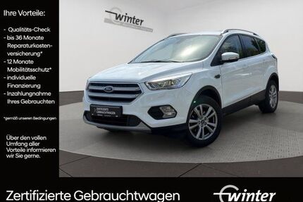 Ford Kuga Gebrauchtwagen