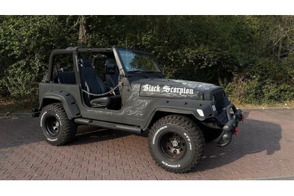 Jeep Wrangler Gebrauchtwagen