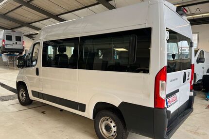 Fiat Ducato Gebrauchtwagen