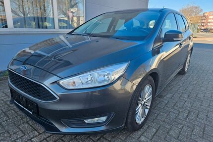 Ford Focus Gebrauchtwagen