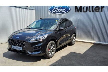 Ford Kuga Gebrauchtwagen