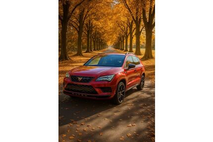 Cupra Ateca Gebrauchtwagen