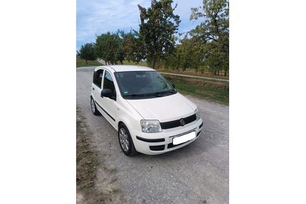 Fiat Panda Gebrauchtwagen