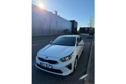 Kia ceed / Ceed Gebrauchtwagen