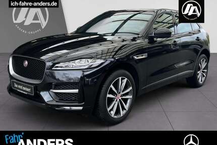 Jaguar F-Pace Gebrauchtwagen