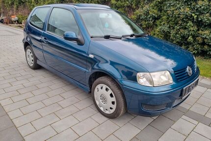 VW Polo Gebrauchtwagen