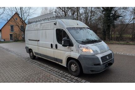 Fiat Ducato Gebrauchtwagen