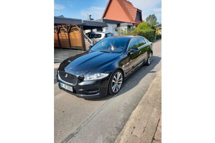 Jaguar XJ Gebrauchtwagen