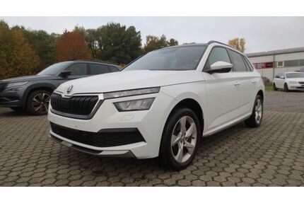 Skoda Kamiq Gebrauchtwagen
