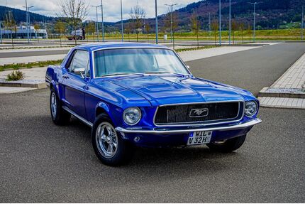 Ford Mustang Gebrauchtwagen