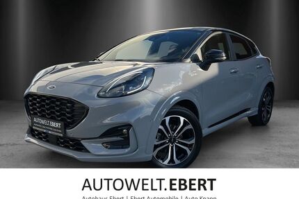 Ford Puma Gebrauchtwagen