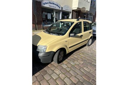 Fiat Panda Gebrauchtwagen