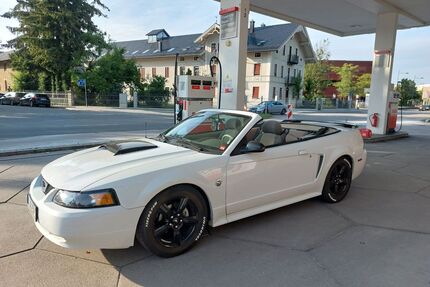 Ford Mustang Gebrauchtwagen
