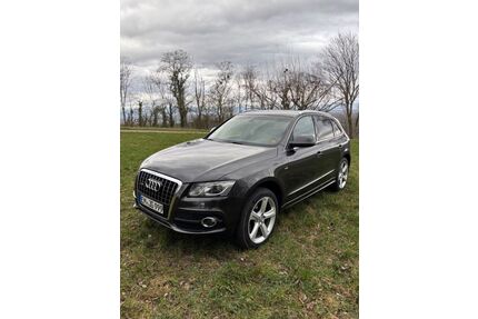 Audi Q5 Gebrauchtwagen