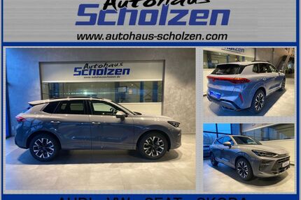 Cupra Terramar Gebrauchtwagen